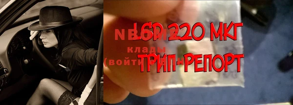 крисы Алексин