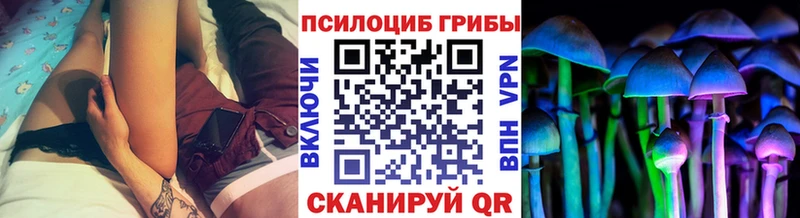 мега как зайти  Павлово  Галлюциногенные грибы ЛСД  где купить наркотик 